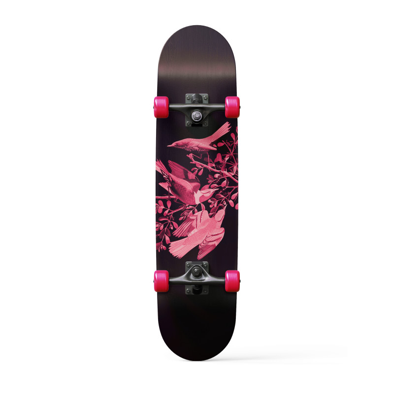 Avian Adventure Avian Adventure