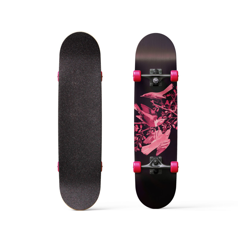 Avian Adventure Avian Adventure