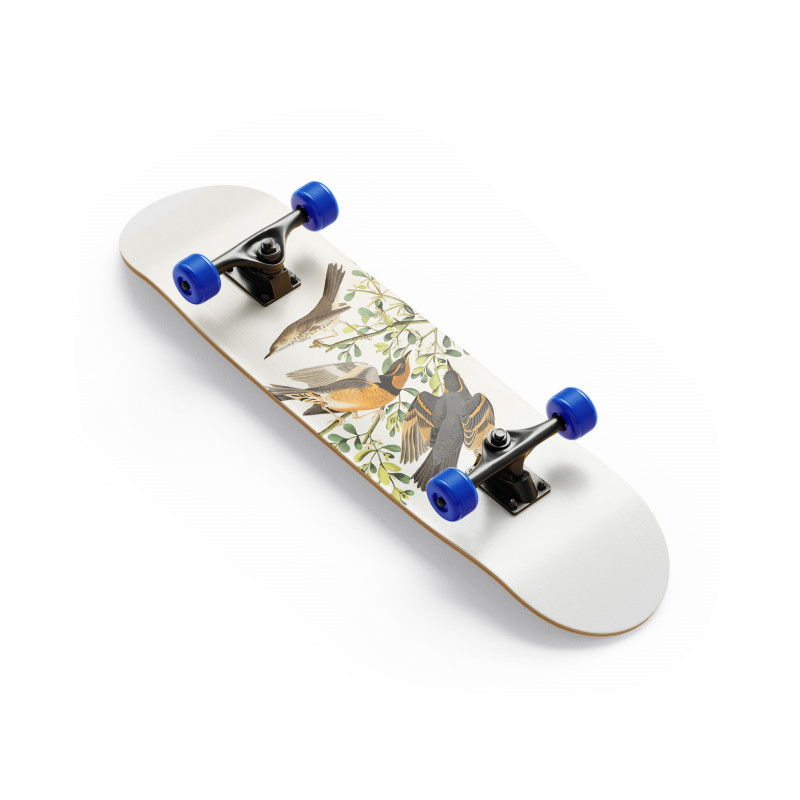 Avian Adventure Avian Adventure